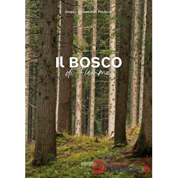 Bosco di Fiemme (Il)