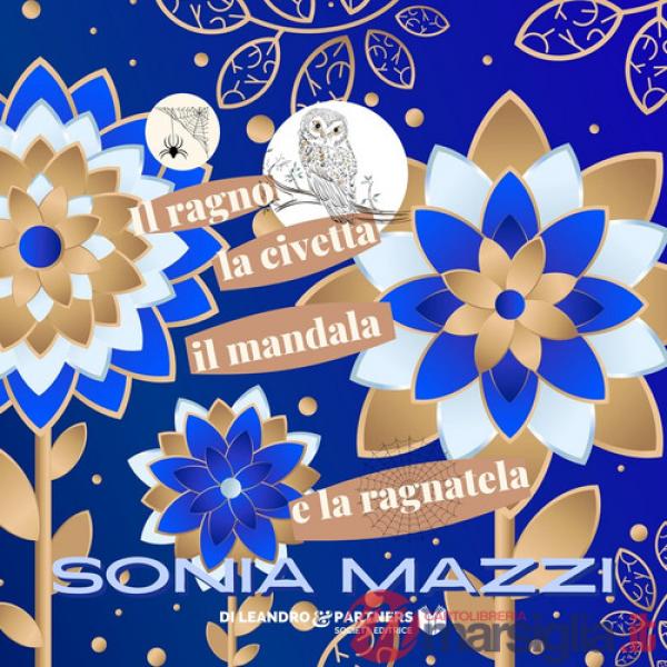Ragno la civetta il mandala e la ragnatela. Ediz. speciale (Il)