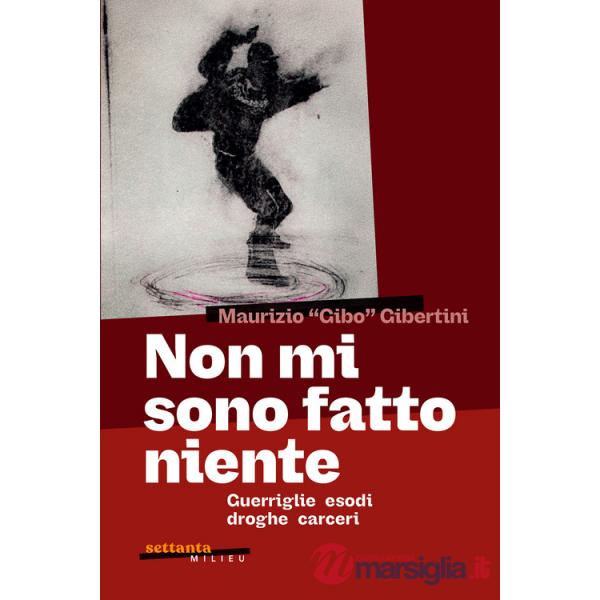 Non mi sono fatto niente