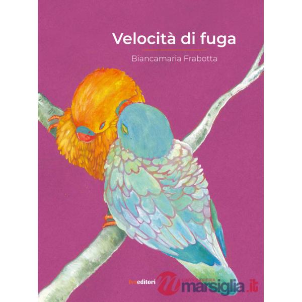 Velocità di fuga
