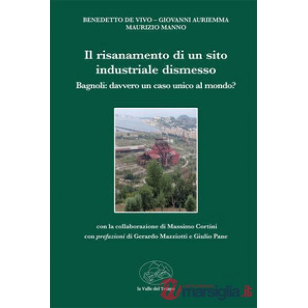 Il risanamento di un sito industriale dismesso. Bagnoli: davvero unico caso al mondo?