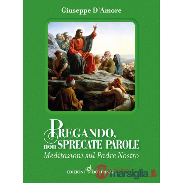 Pregando, non sprecate parole. Meditazioni sul Padre Nostro