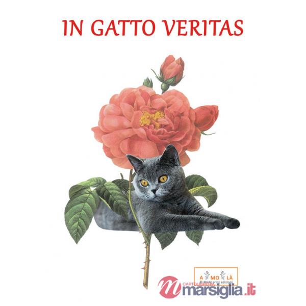 In gatto veritas
