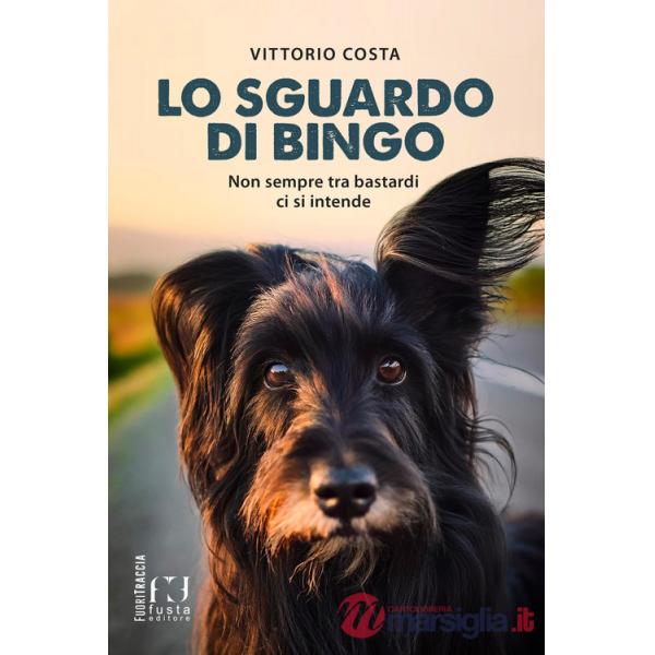 Sguardo di Bingo. Non sempre tra bastardi ci si intende (Lo)