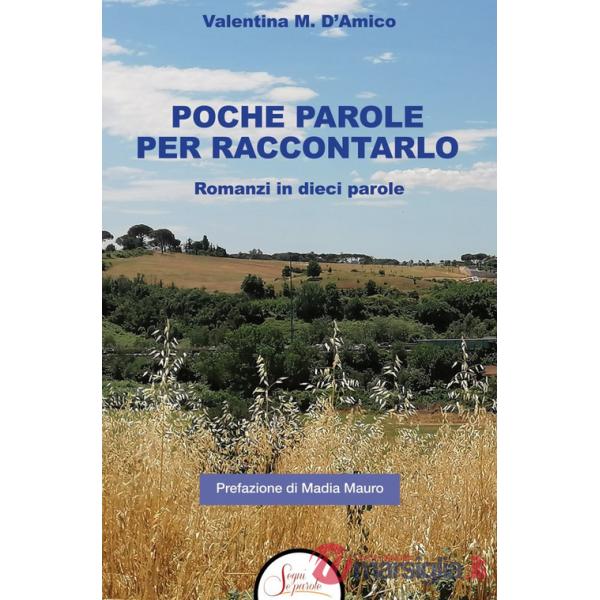 Poche parole per raccontarlo. Romanzi in dieci parole