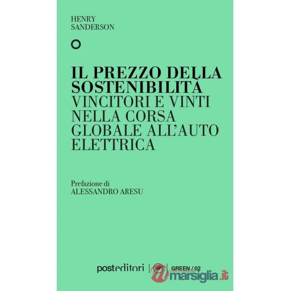 Prezzo della sostenibilità. Vincitori e vinti nella corsa globale all'auto elettrica (Il)