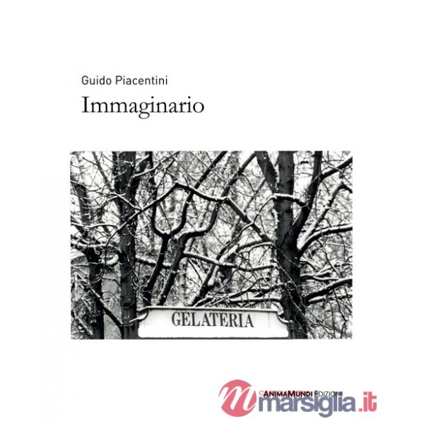 Immaginario. Ediz. illustrata
