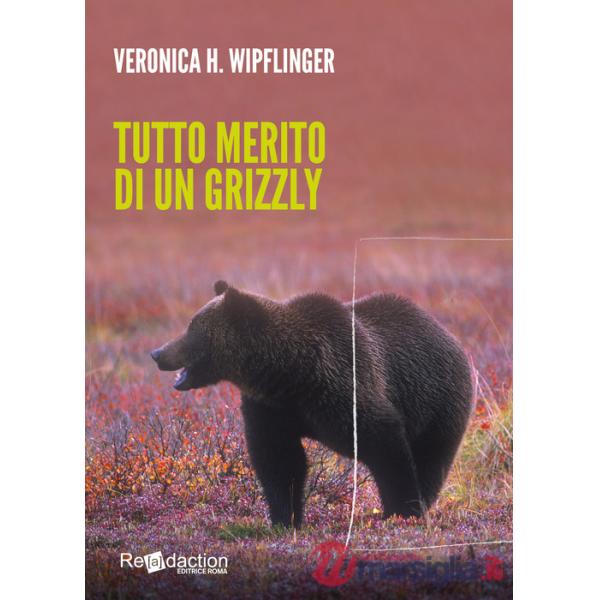 Tutto merito di un grizzly