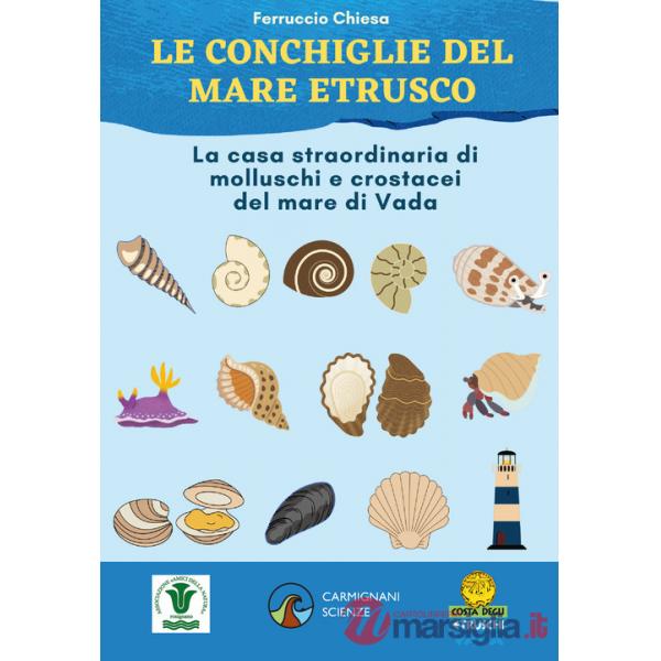 Conchiglie del mare etrusco. La casa straordinaria di molluschi e crostacei del mare di Vada. Ediz. illustrata (Le)