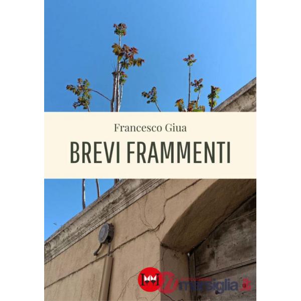 Brevi frammenti