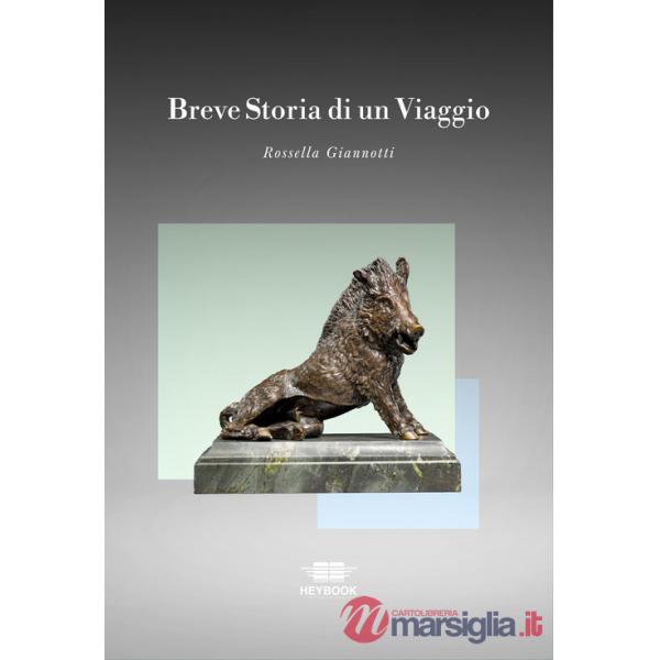 Breve storia di un viaggio