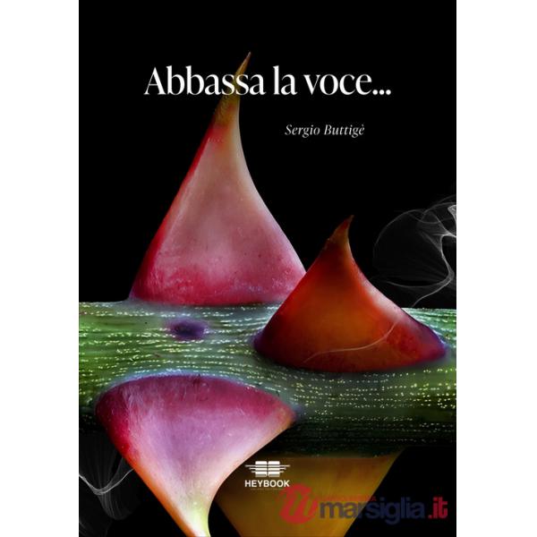 Abbassa la voce