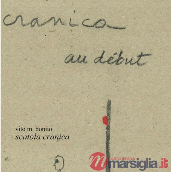 Scatola cranica