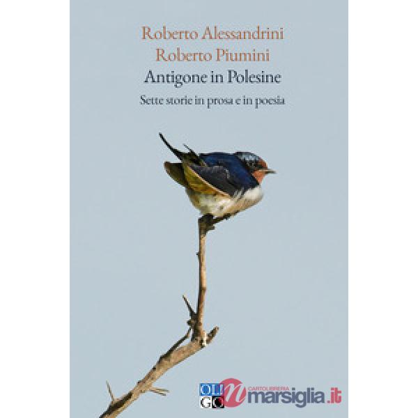 Antigone in Polesine. Sette storie in prosa e in poesia