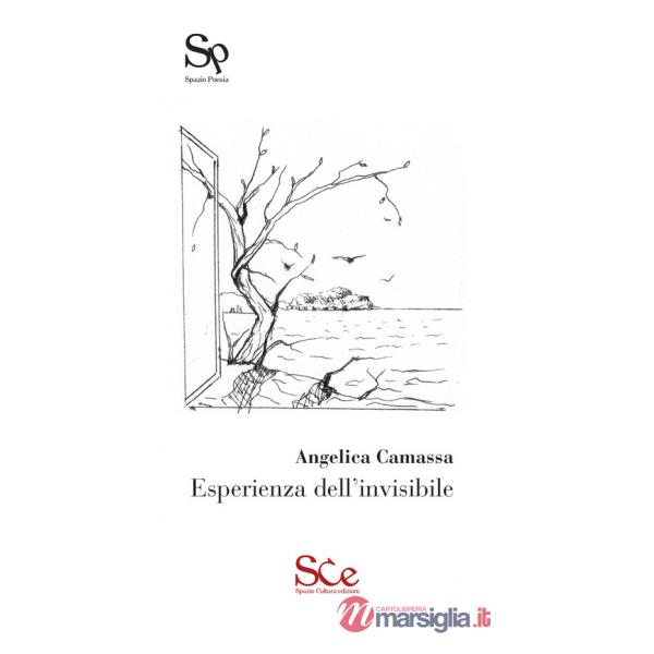 Esperienza dell'invisibile