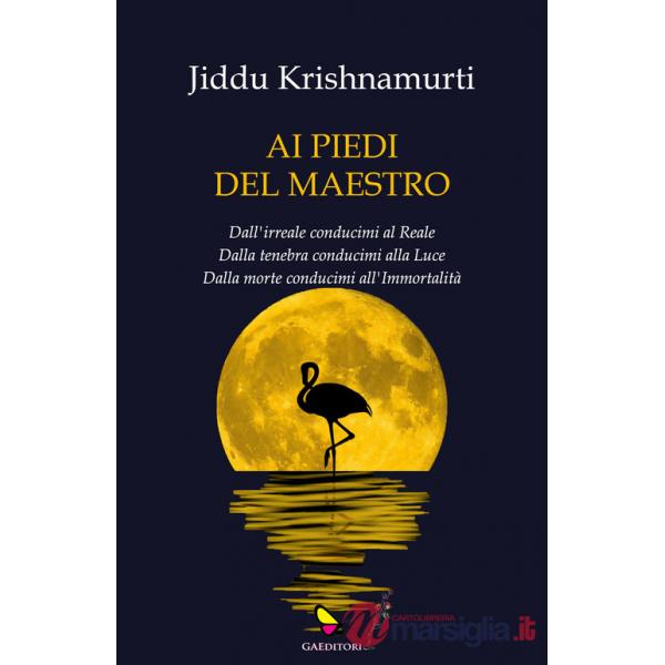 Ai piedi del maestro