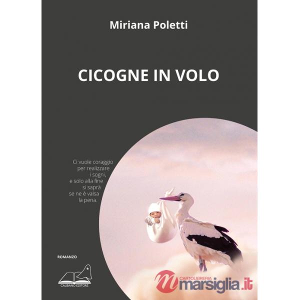 Cicogne in volo