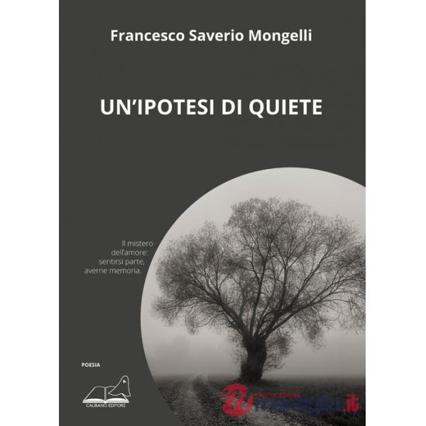 Ipotesi di quiete (Un')