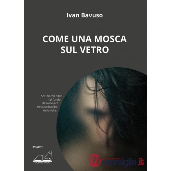 Come una mosca sul vetro