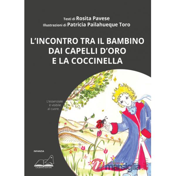 Incontro tra il bambino dai capelli d'oro e la coccinella. L'essenziale è visibile al cuore (L')