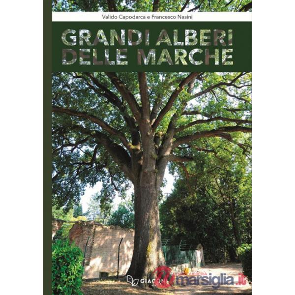 Grandi alberi delle Marche. Con Libro