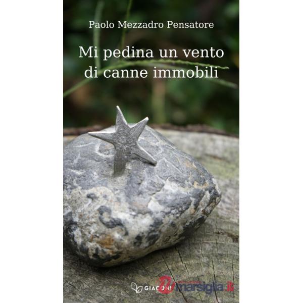 Mi pedina un vento di canne immobili