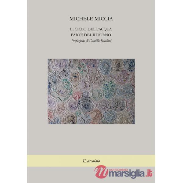 Ciclo dell'acqua. Parte del ritorno (Il)