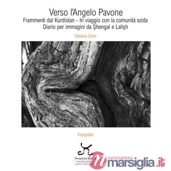 Verso l'Angelo Pavone. Frammenti dal Kurdistan - In viaggio con la comunità ezida. Diario per immagini da Shengal e Lalish