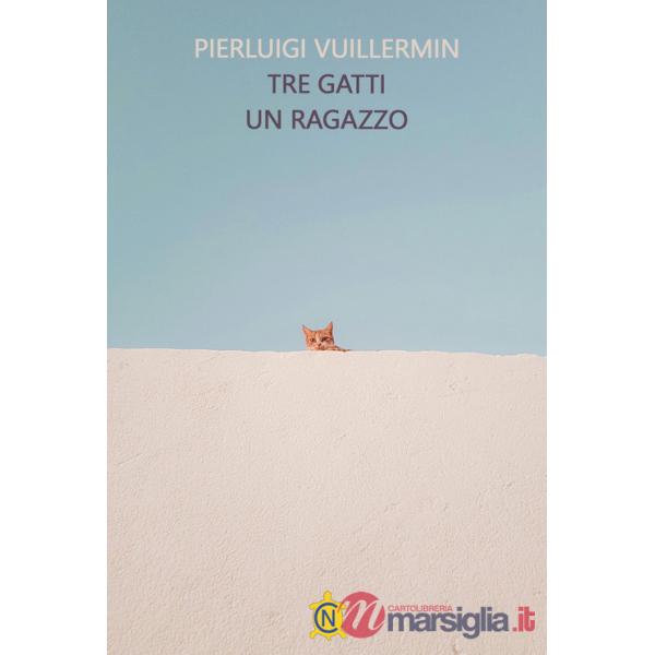 Tre gatti un ragazzo