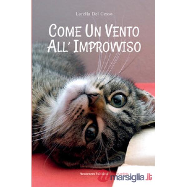 Come un vento all'improvviso