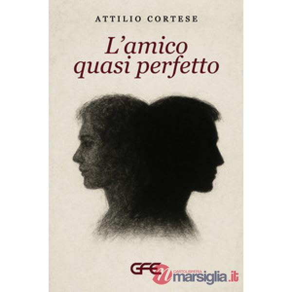 Amico quasi perfetto (L')