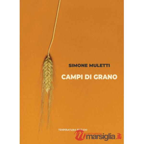 Campi di grano