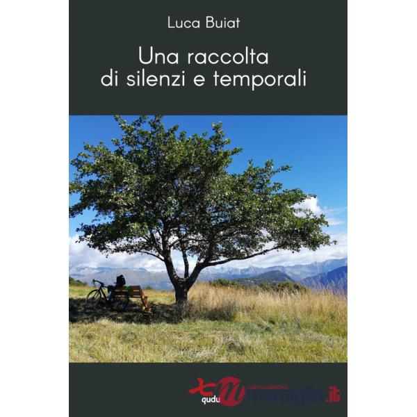 Raccolta di silenzi e temporali (Una)
