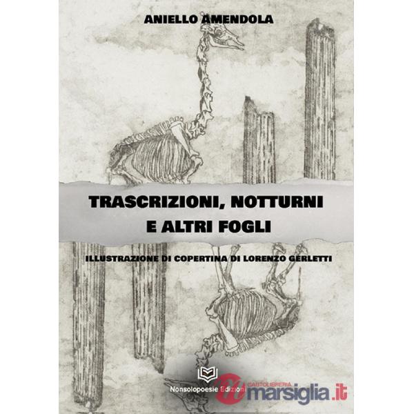 Trascrizioni, notturni ed altri fogli