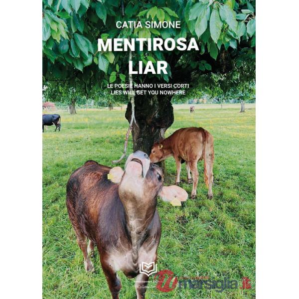 Mentirosa. Le poesie hanno i versi corti-Liar. Lies will get you nowhere