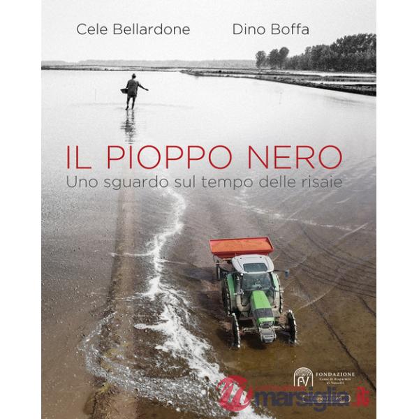 Pioppo nero. Uno sguardo sul tempo delle risaie (Il)