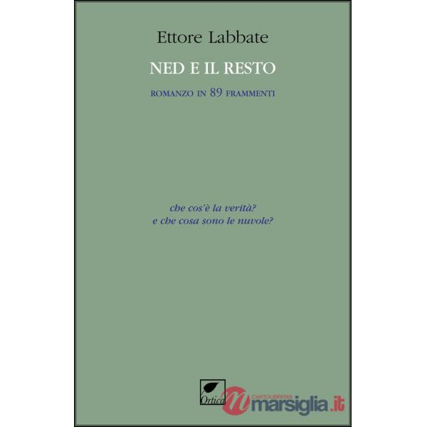 Ned e il resto. Romanzo in 89 frammenti