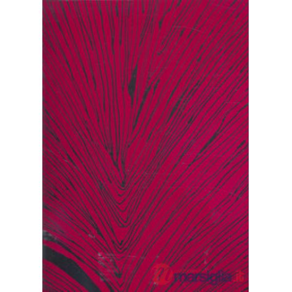 Unknown pleasures. Ediz. illustrata