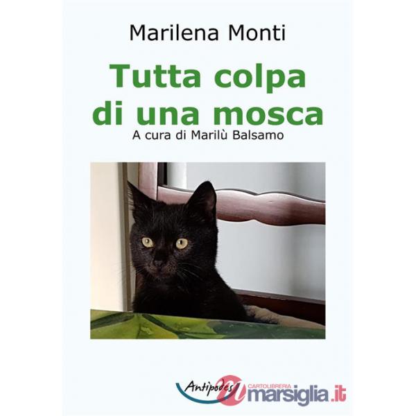 Tutta colpa di una mosca