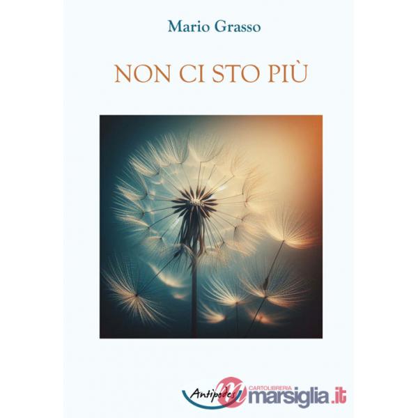 Non ci sto più