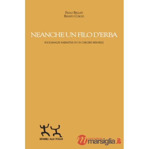 Neanche un filo d'erba. Socioanalisi narrativa di un carcere minorile