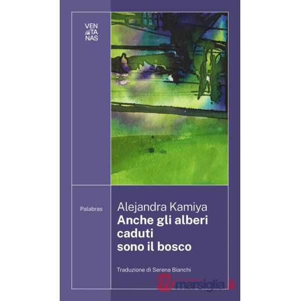 Anche gli alberi caduti sono il bosco