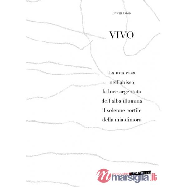 Vivo. La mia casa nell'abisso la luce argentata dell'alba illumina il solenne cortile della mia dimora. Ediz. illustrata
