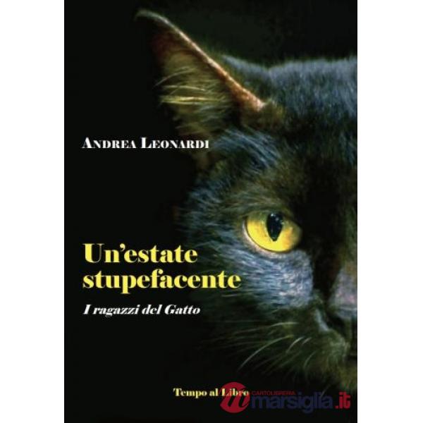 Estate stupefacente. I ragazzi del Gatto (Un')