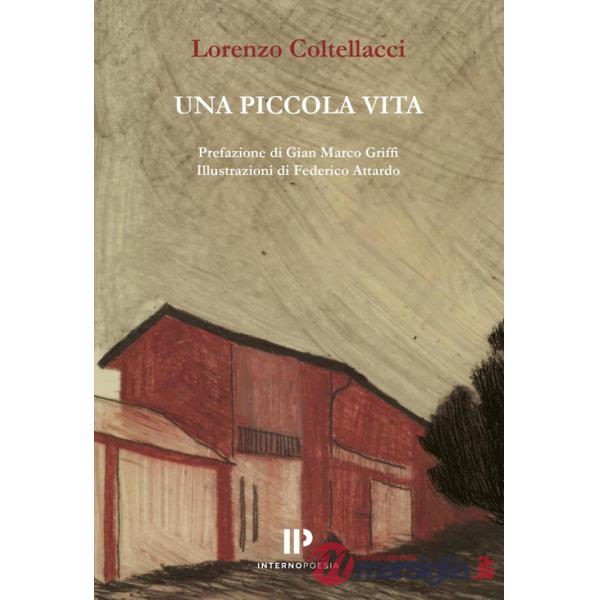 Piccola vita (Una)