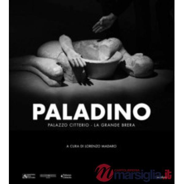 Paladino. Ediz. illustrata