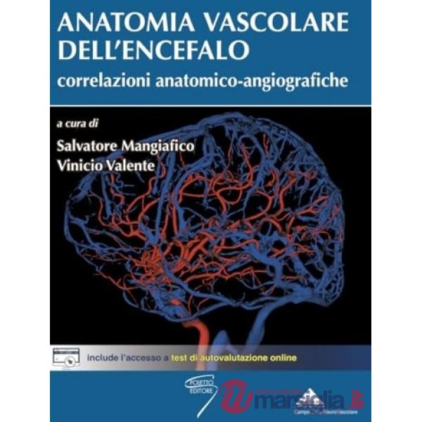 Anatomia vascolare dell'encefalo. Correlazioni anatomico-angiografiche