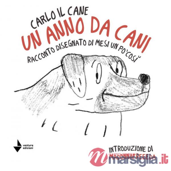 Anno da cani. Racconto disegnato di mesi un po' così. Ediz. illustrata (Un)