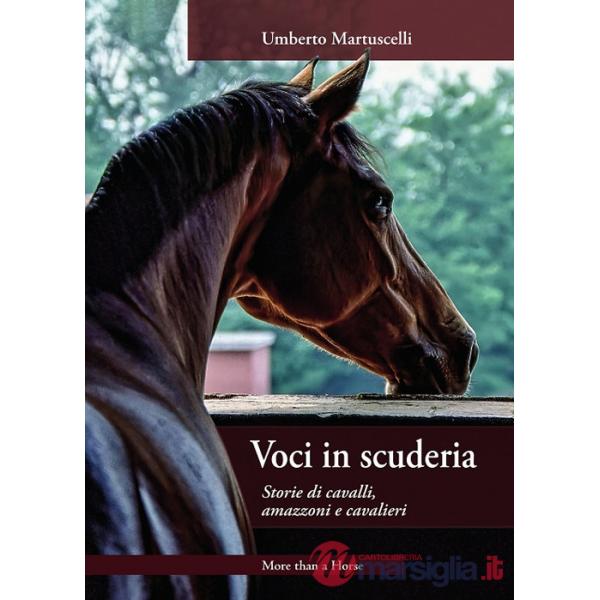 Voci in scuderia. Storie di cavalli, amazzoni e cavalieri