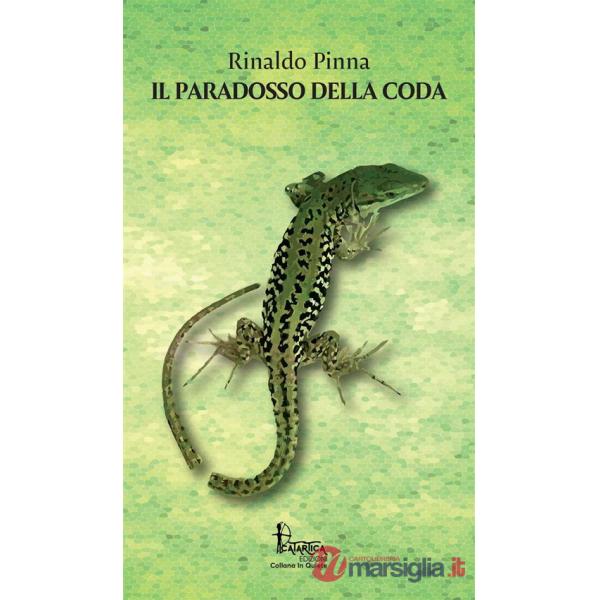 Paradosso della coda (Il)